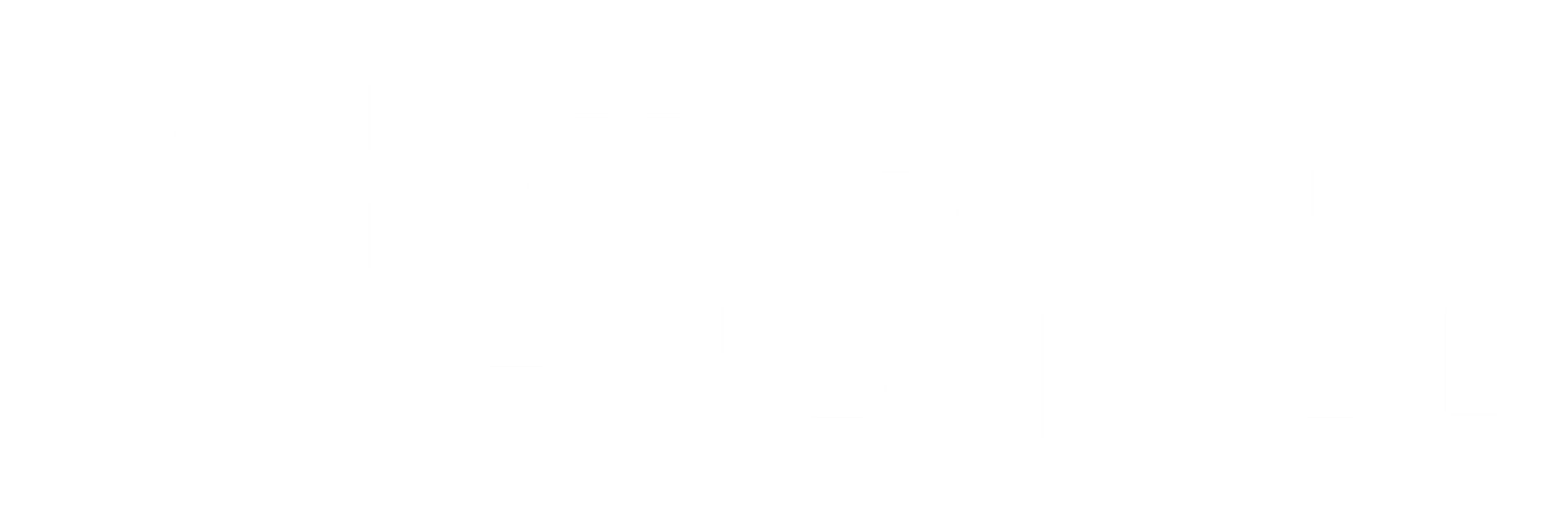 Starkey Financial